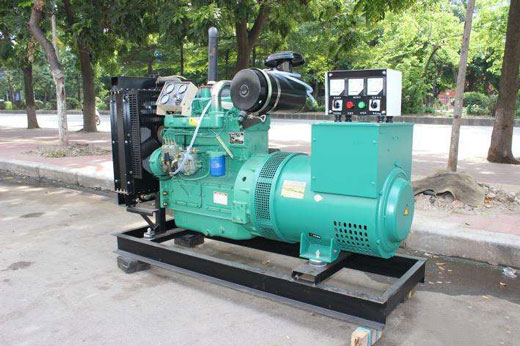 岳阳楼发电机不发电的原因